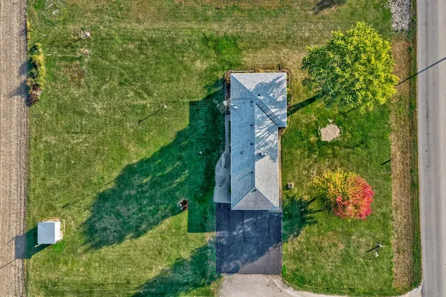 a view of a garden with plants