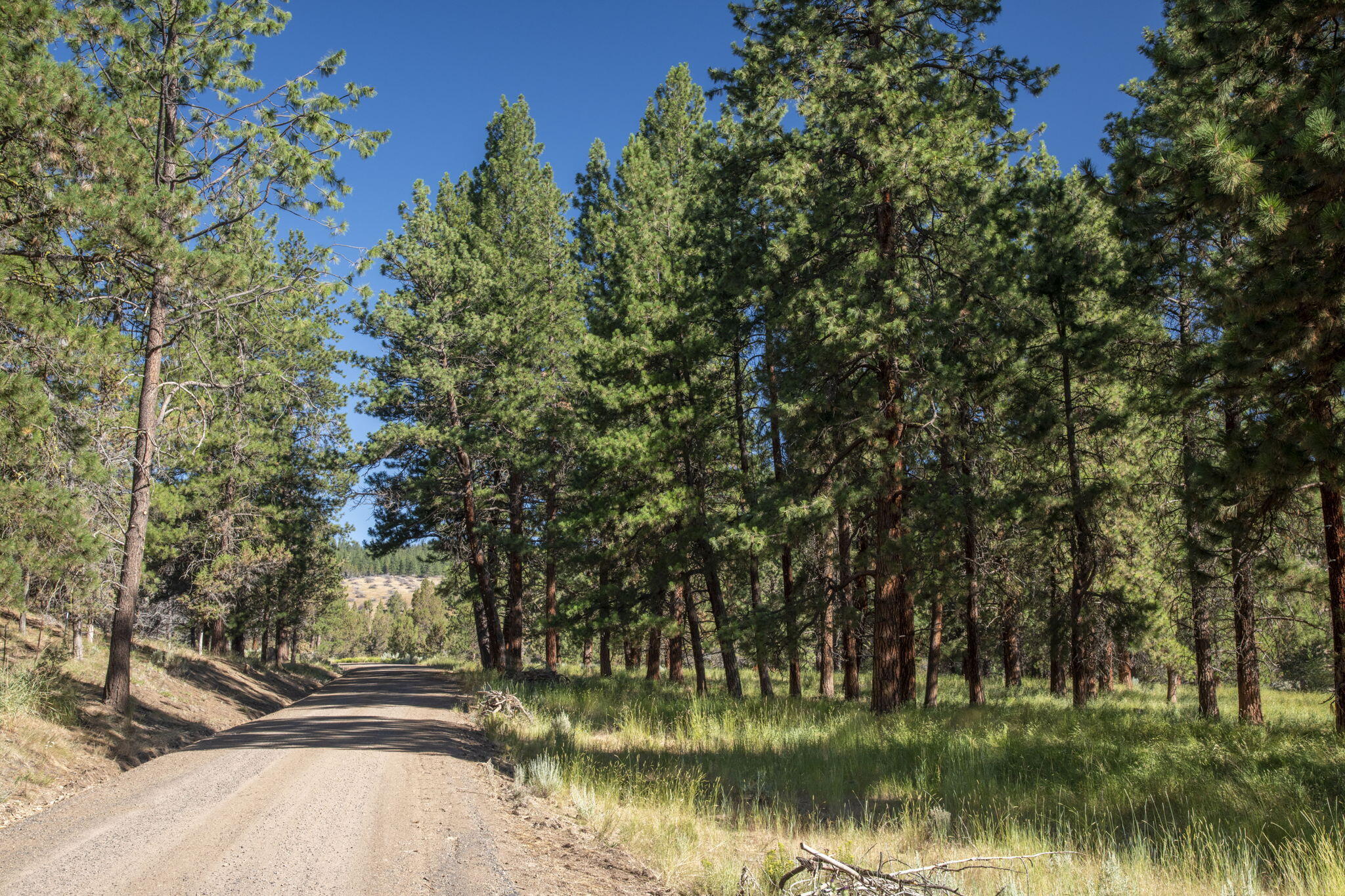 32500 Tackman Road Prineville, OR 97754 - Photo 76 of 112