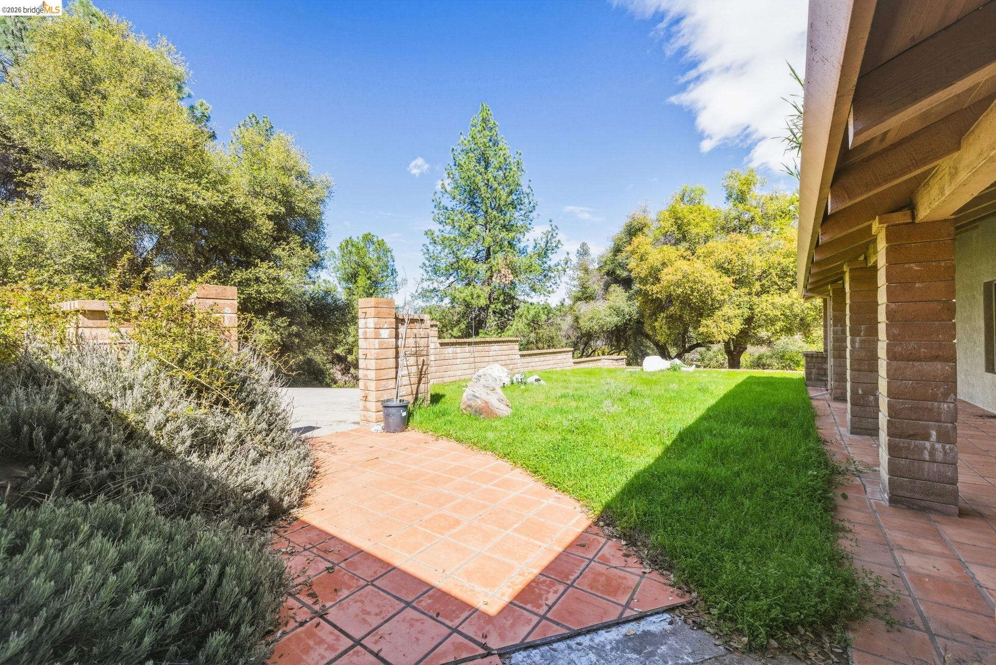 23608 Porcina Way Columbia, CA 95310 - Photo 6 of 51 a view of a yard with plants and a fountain