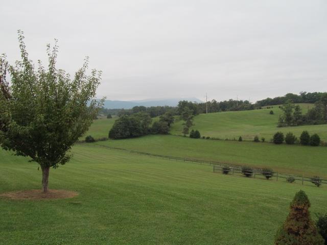 617 Country Club Road Troutville, VA 24175 - Photo 8 of 39 Backyard