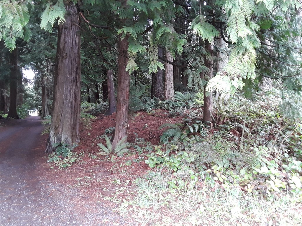 23012 35th Avenue Southeast Bothell, WA 98021 - Photo 18 of 18