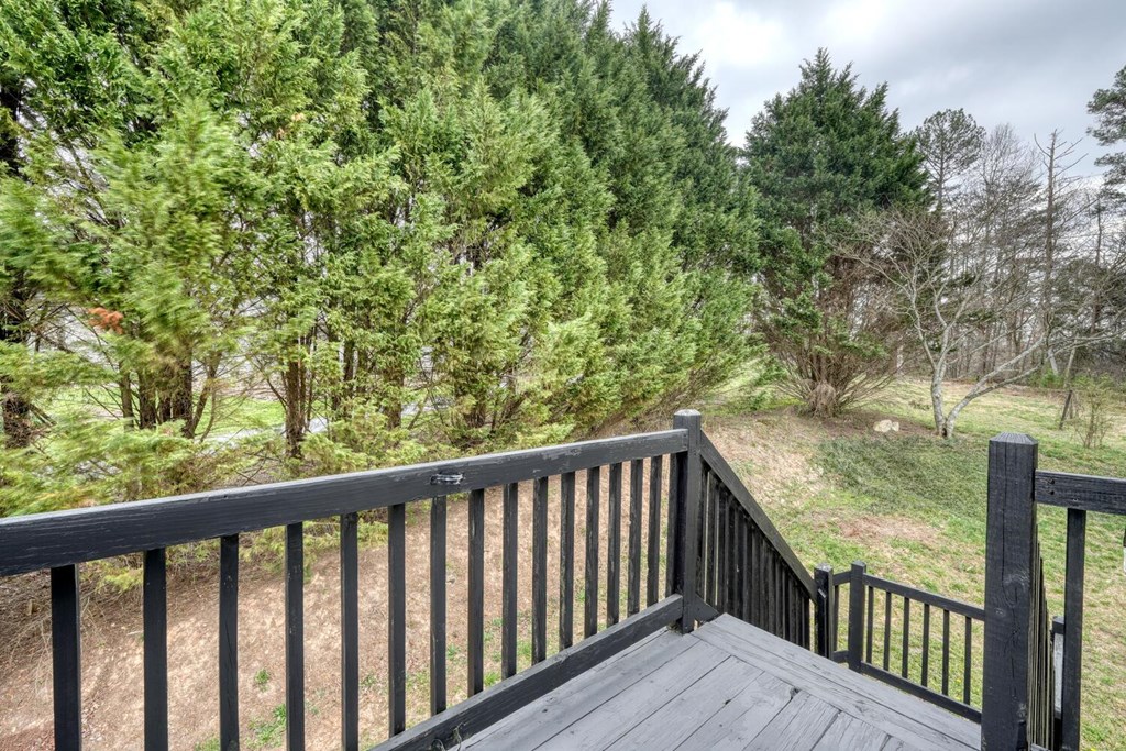 161 High Country Crossing Morganton, GA 30560 - Photo 21 of 70