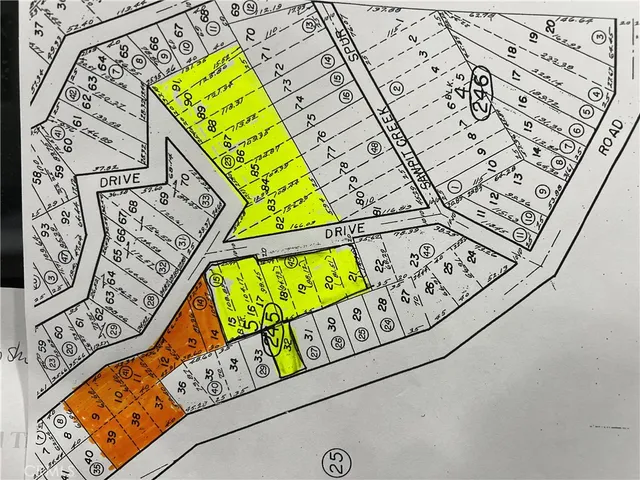 view of a park with large trees