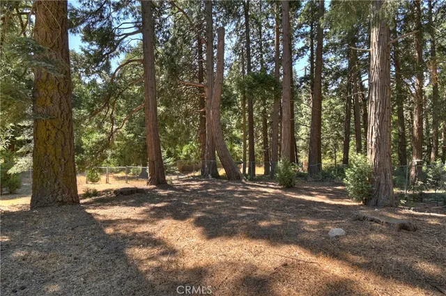 a view of outdoor space and yard