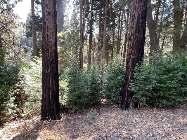 $560,000 | 386 Garden Drive, Cedarpines Park, CA 92322