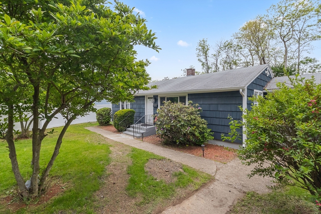 5 Phoenix Street Worcester, MA 01604 - Photo 5 of 32 a view of a house with a yard and potted plants