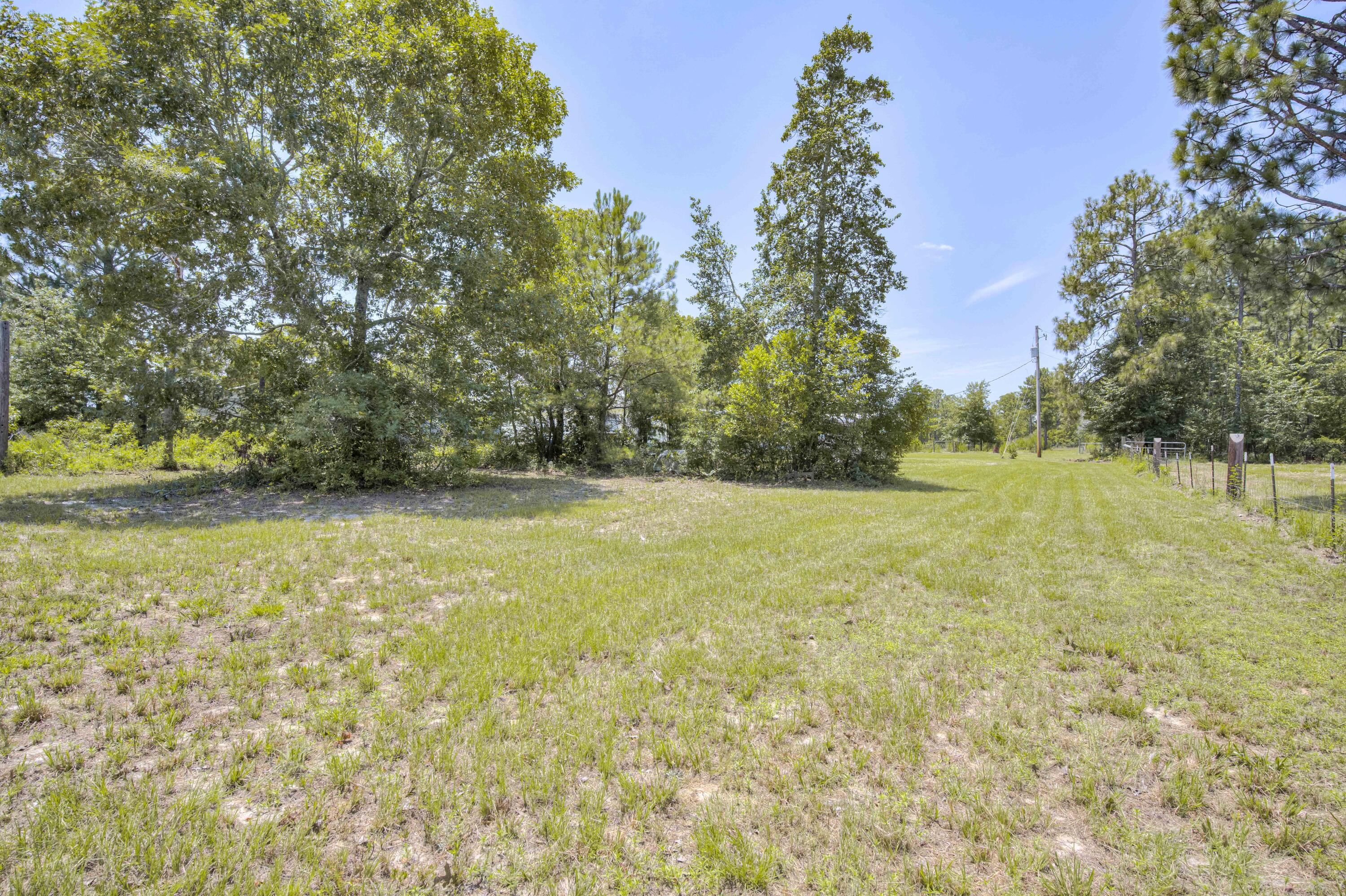 798 Big Branch Road Wagener, SC 29164 - Photo 43 of 63