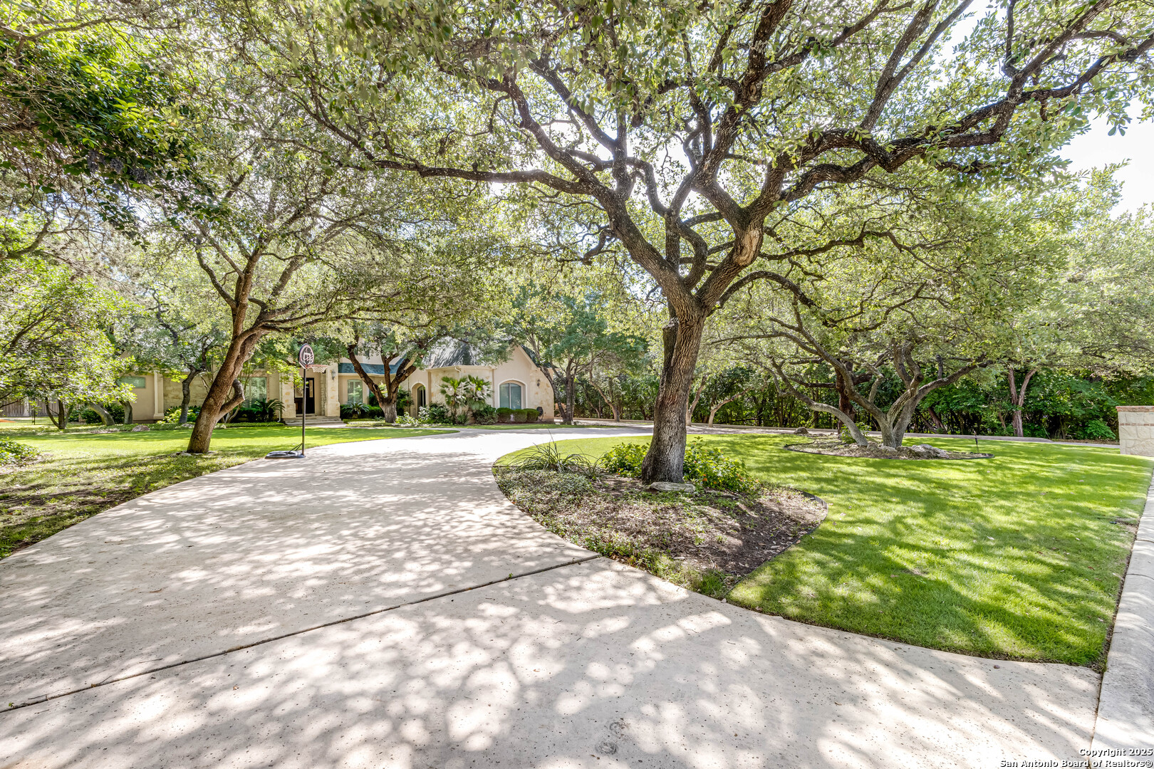 132 Long Bow Road Shavano Park, TX 78231 - Photo 4 of 50 a view of a yard with a tree