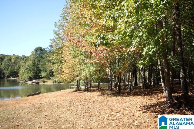0 County Road 928, Unit 19 Delta, AL 36258 - Photo 3 of 43