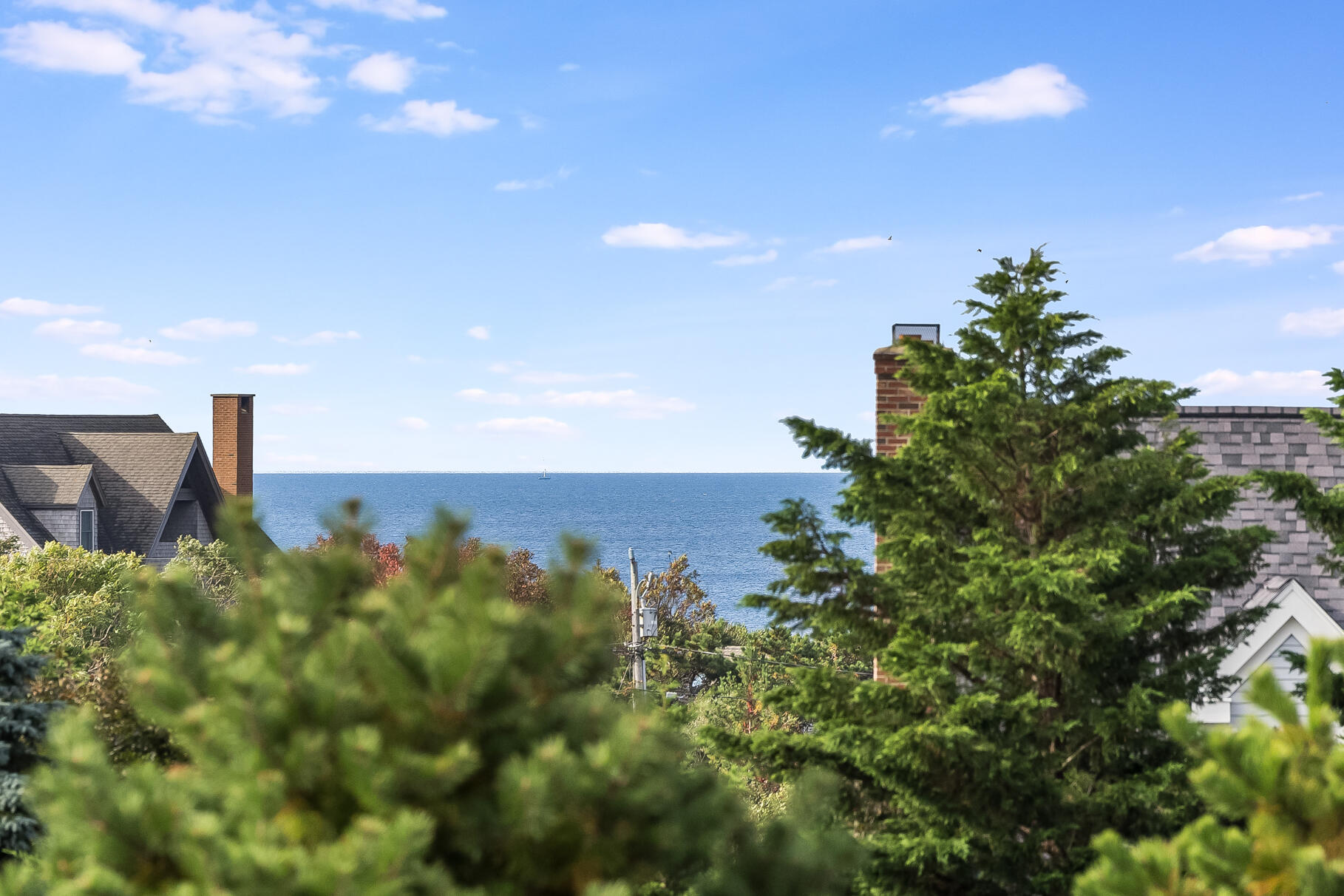 132 Shore Road, Unit 48 Truro, MA 02666 - Photo 14 of 35 a view of a bunch of trees