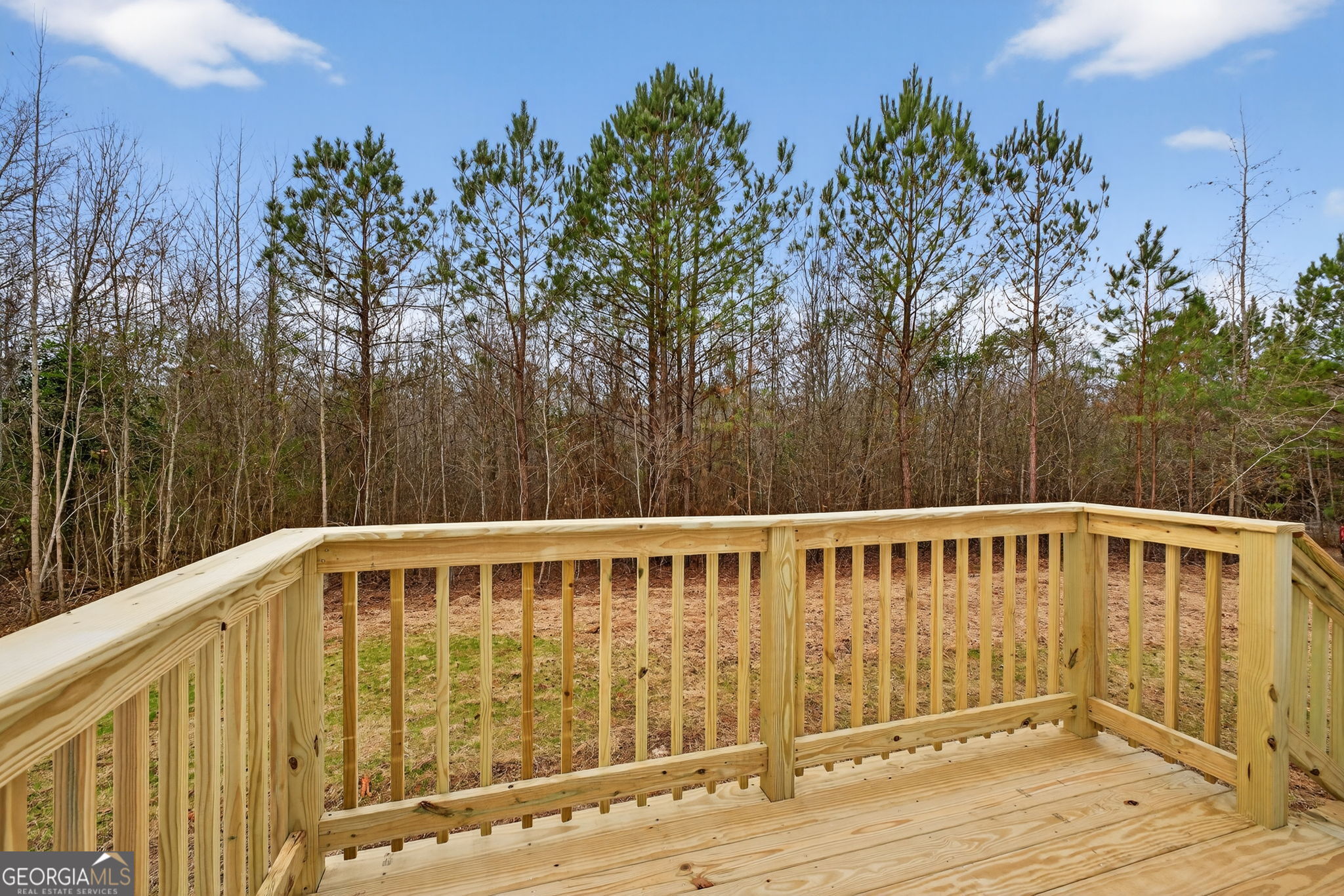 329 Brook Road Barnesville, GA 30204 - Photo 5 of 37 a view of a wooden deck with a backyard