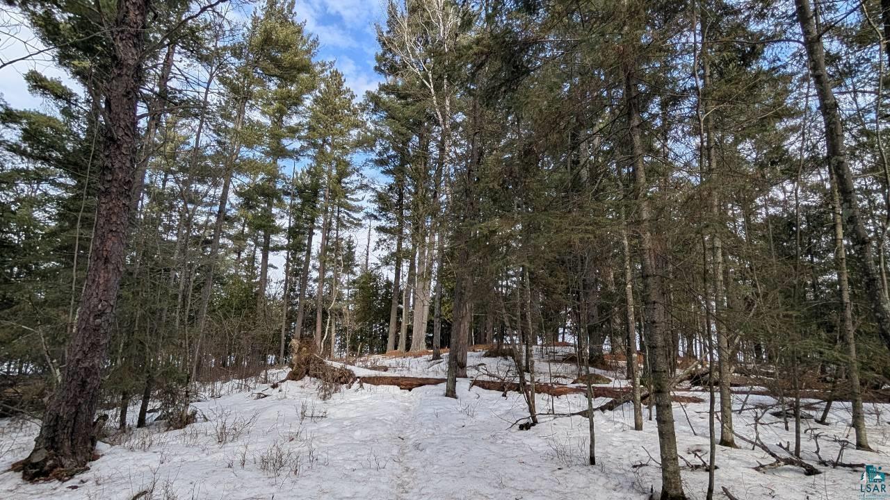 1317 North Pioneer Road Ely, MN 55731 - Photo 7 of 14