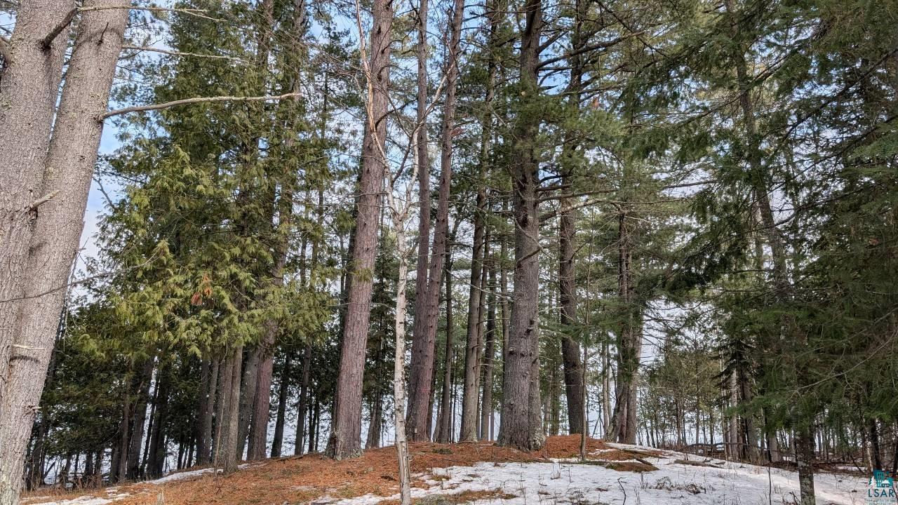 1317 North Pioneer Road Ely, MN 55731 - Photo 9 of 14