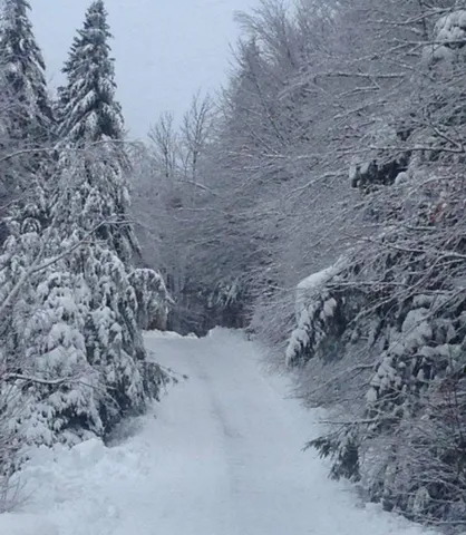 $895,000 | 42 Sugar House Road, West Dover, VT 05356