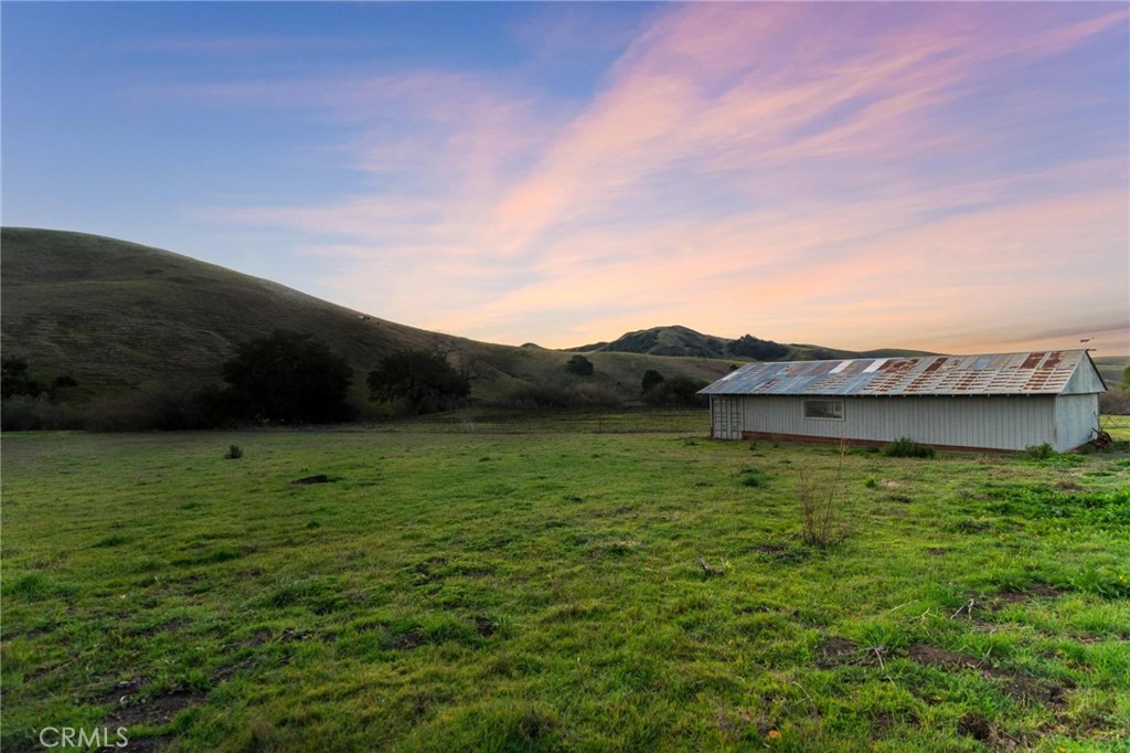 a view of a lush green field