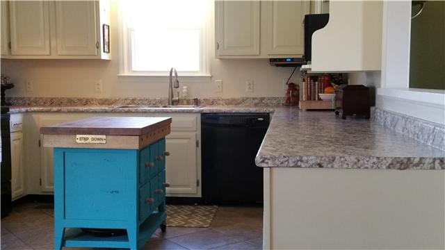 5519 Walkup Road Pegram, TN 37143 - Photo 8 of 18 Kitchen