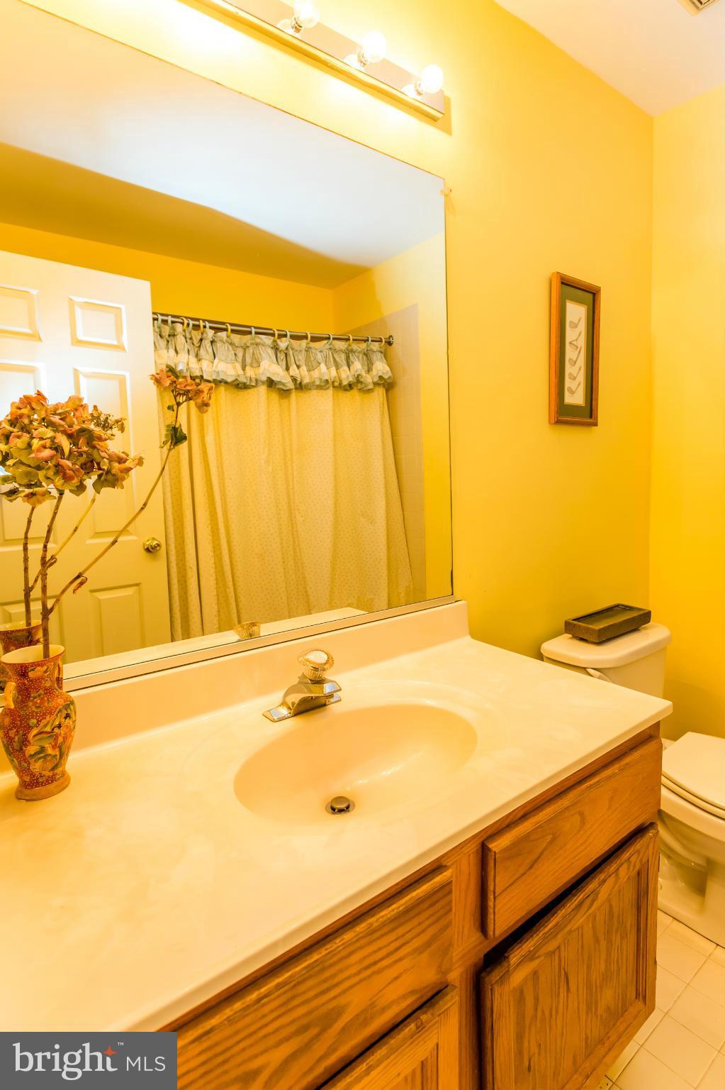 5117 Columbia Road, Unit 1427 Columbia, MD 21044 - Photo 14 of 30 Hall bath