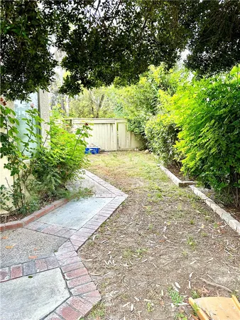 a view of a yard with plants and trees