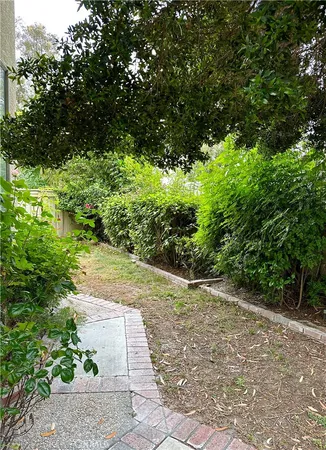 a view of a pathway both side of yard
