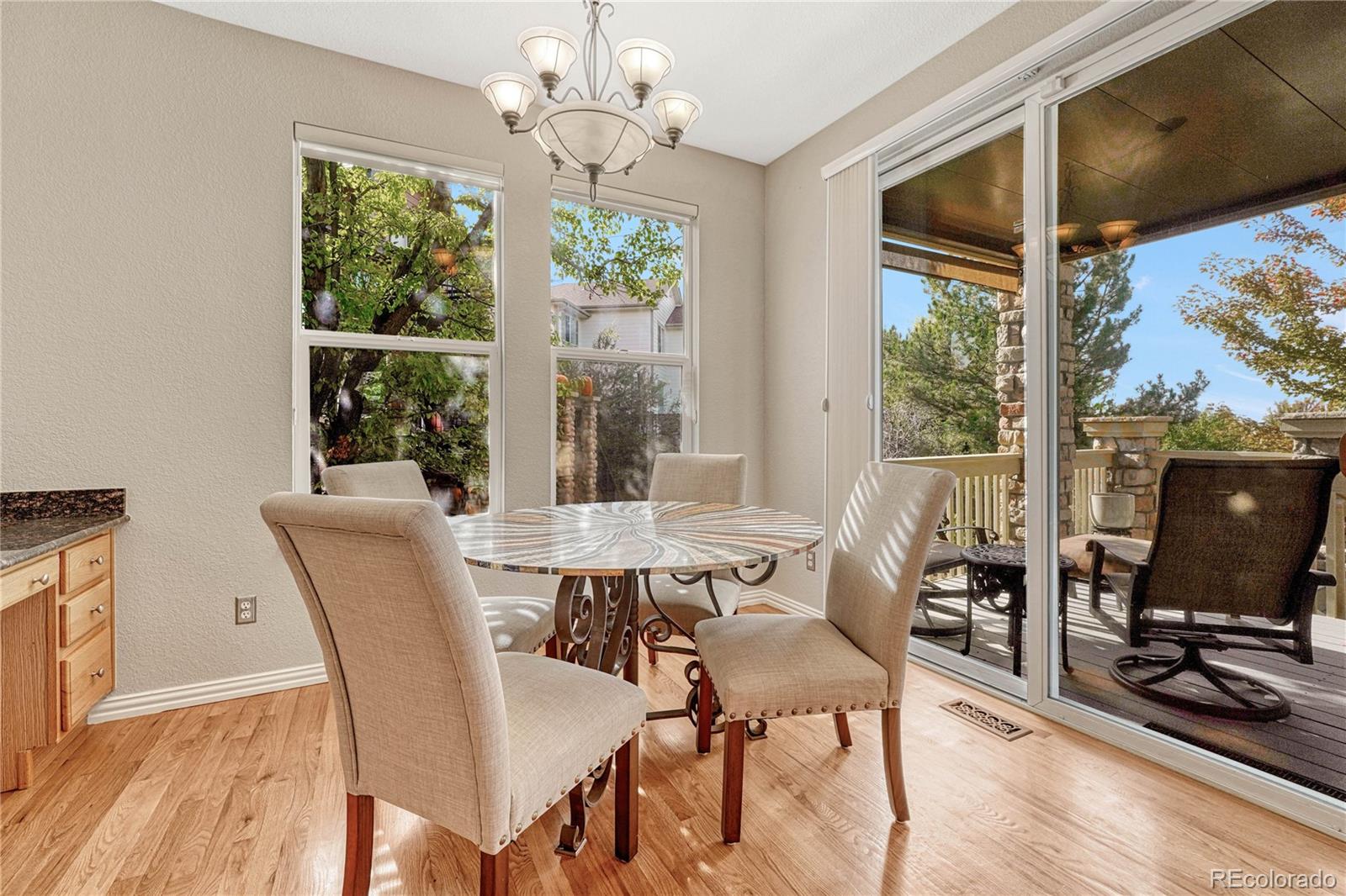 3033 Fox Sedge Lane Highlands Ranch, CO 80126 - Photo 8 of 40