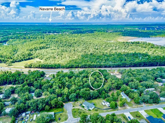 a view of a bunch of trees and flowers