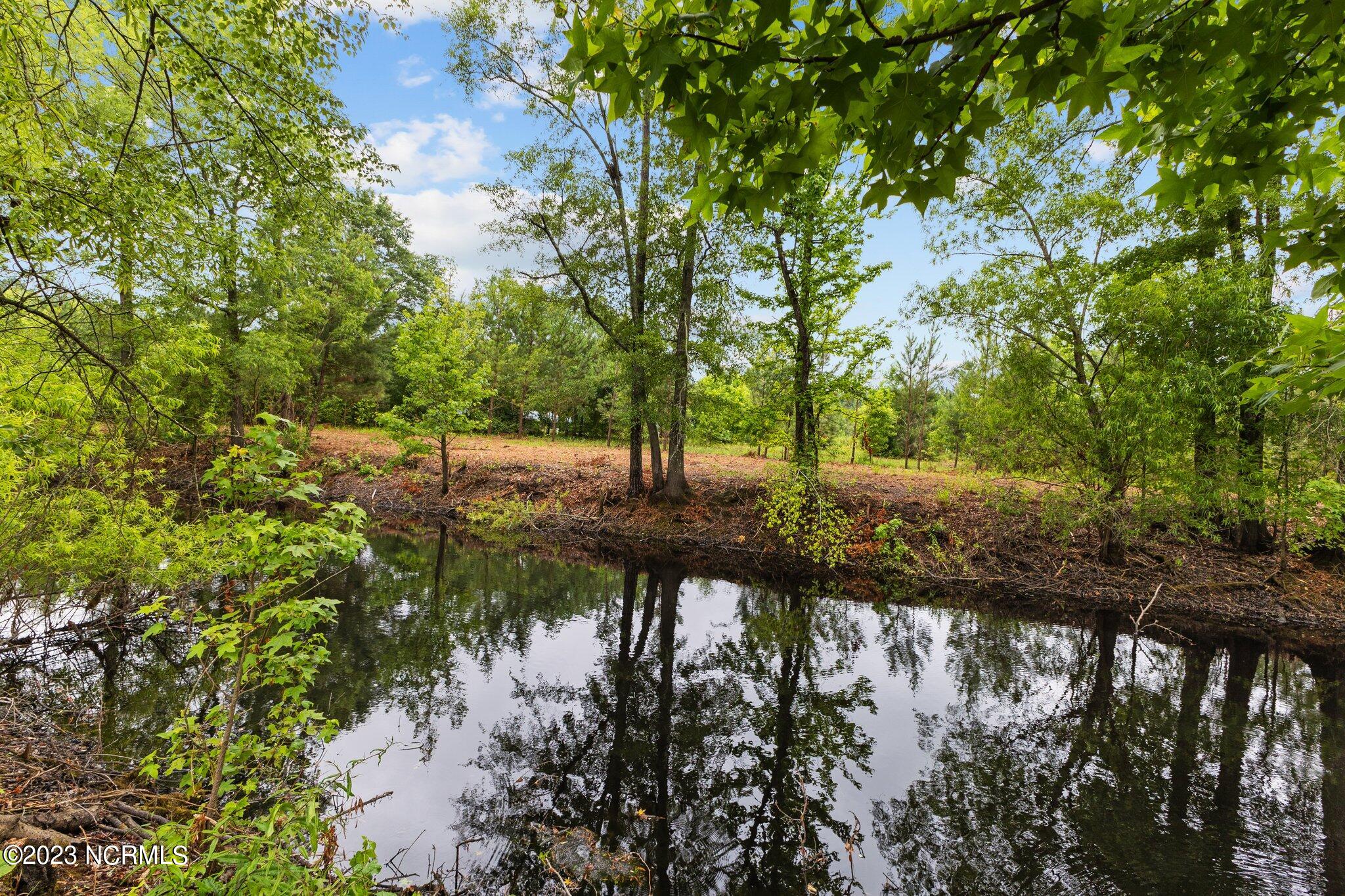 170 Nova Farms Road Cameron, NC 28326 - Photo 9 of 39 16-web-or-mls-707A9853