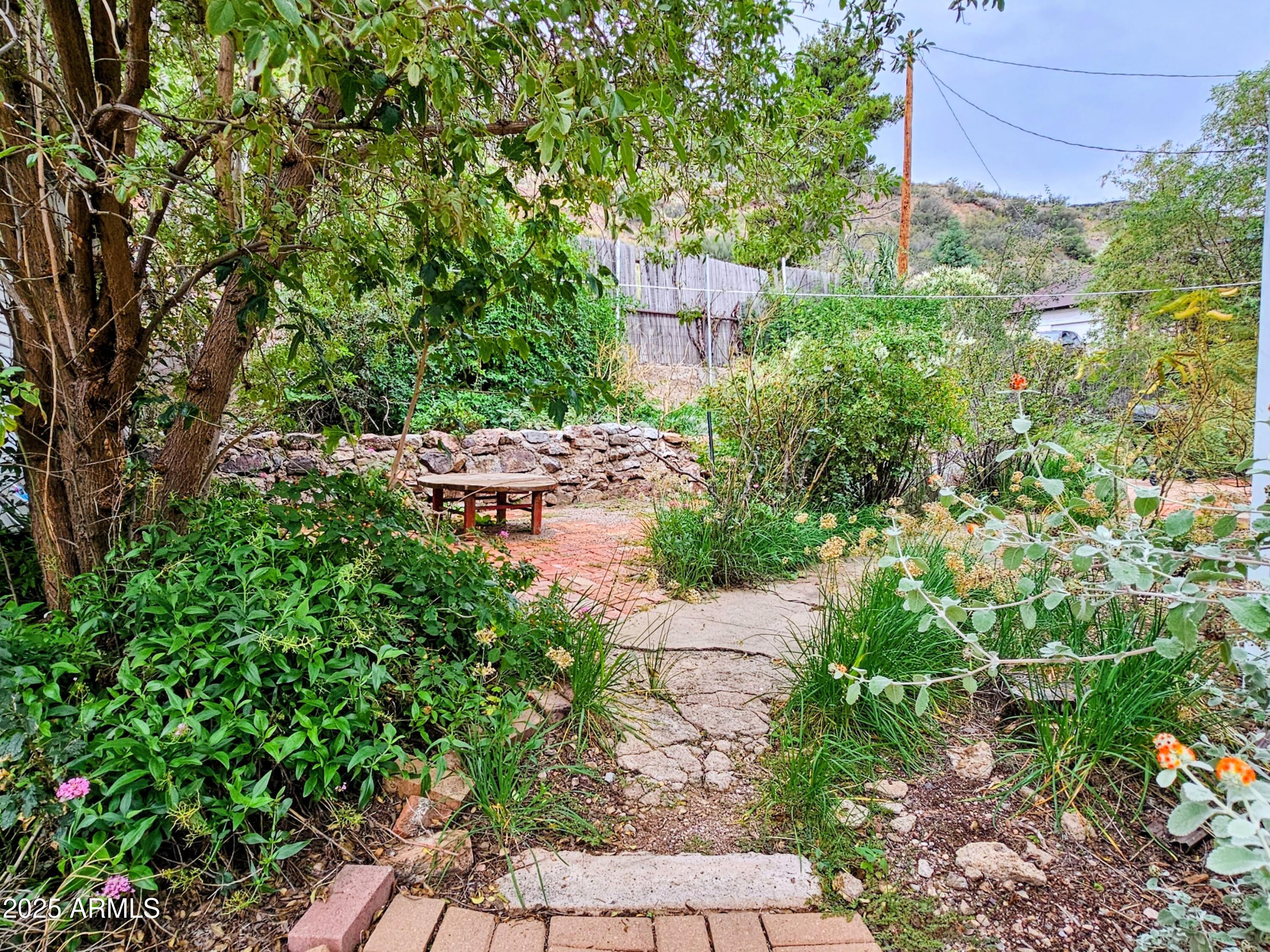 164 Quality Hill Road Bisbee, AZ 85603 - Photo 34 of 36 a view of a garden with plants and large trees