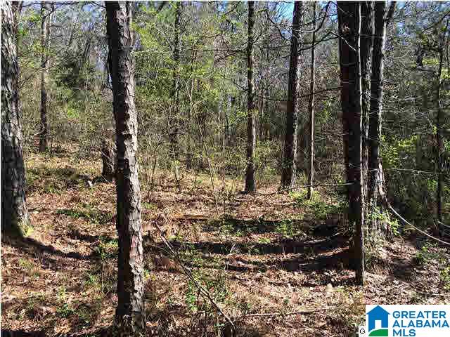 79 Highway 79, Unit 3 9 Cleveland, AL 35049 - Photo 4 of 21