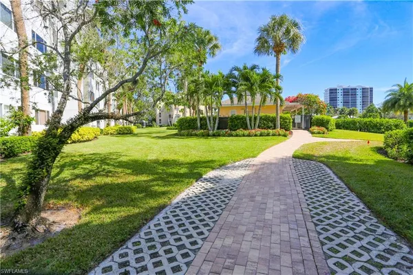 a view of a yard with plants and trees