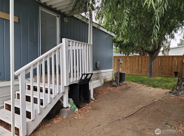 a view of a backyard with a large tree