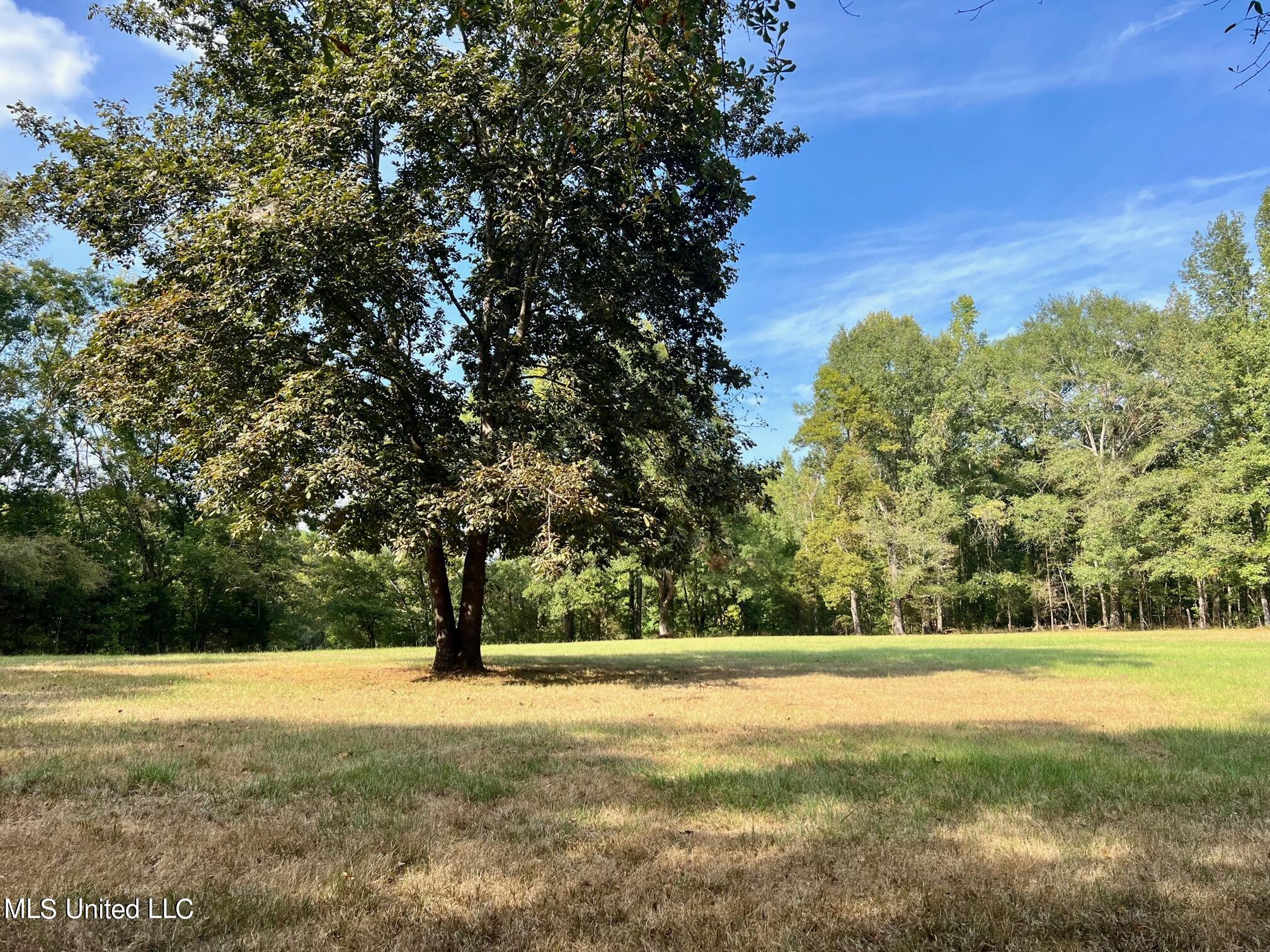 358 Robinson Springs Road Flora, MS 39071 - Photo 25 of 38 IMG_0805