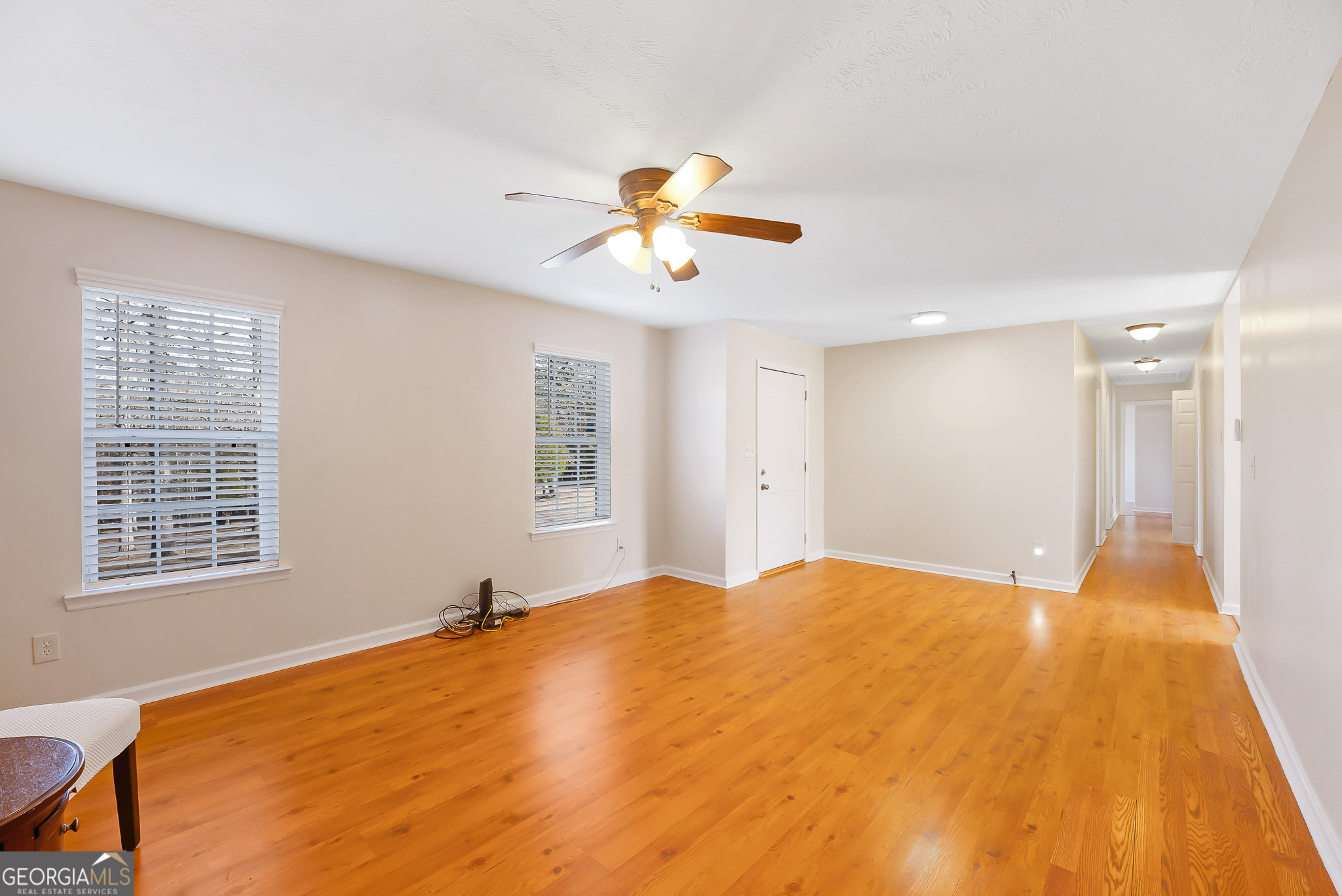 252 Skyview Road Senoia, GA 30276 - Photo 3 of 19