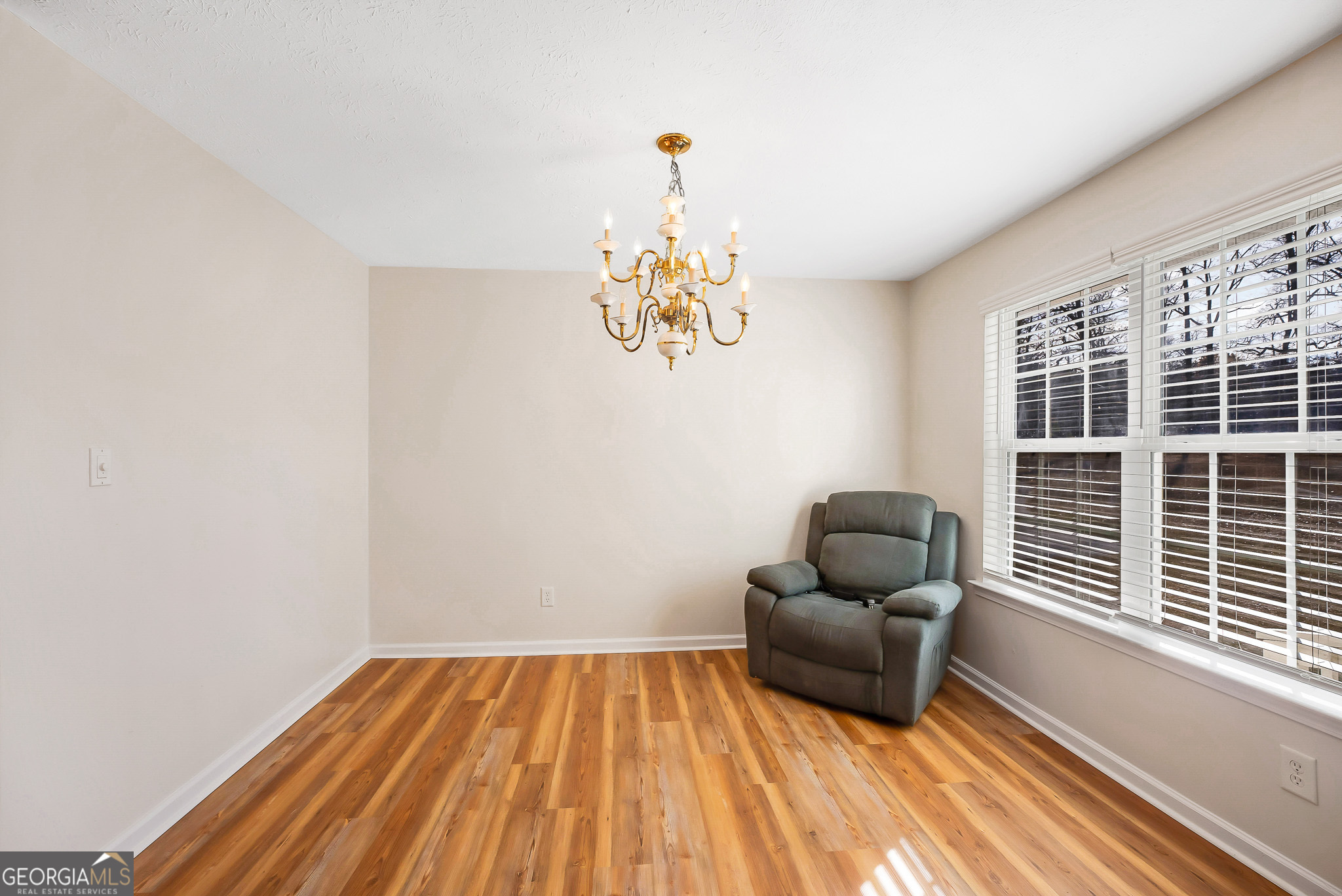 252 Skyview Road Senoia, GA 30276 - Photo 6 of 19