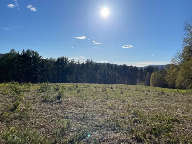 $1,789,000 | 5000 Highway 106, Reading, VT 05062