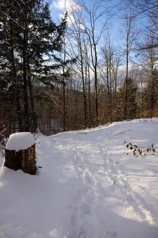 $1,789,000 | 5000 Highway 106, Reading, VT 05062