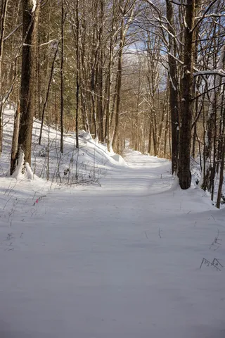 $1,789,000 | 5000 Highway 106, Reading, VT 05062