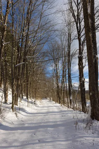 $1,789,000 | 5000 Highway 106, Reading, VT 05062