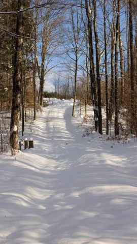 $1,789,000 | 5000 Highway 106, Reading, VT 05062