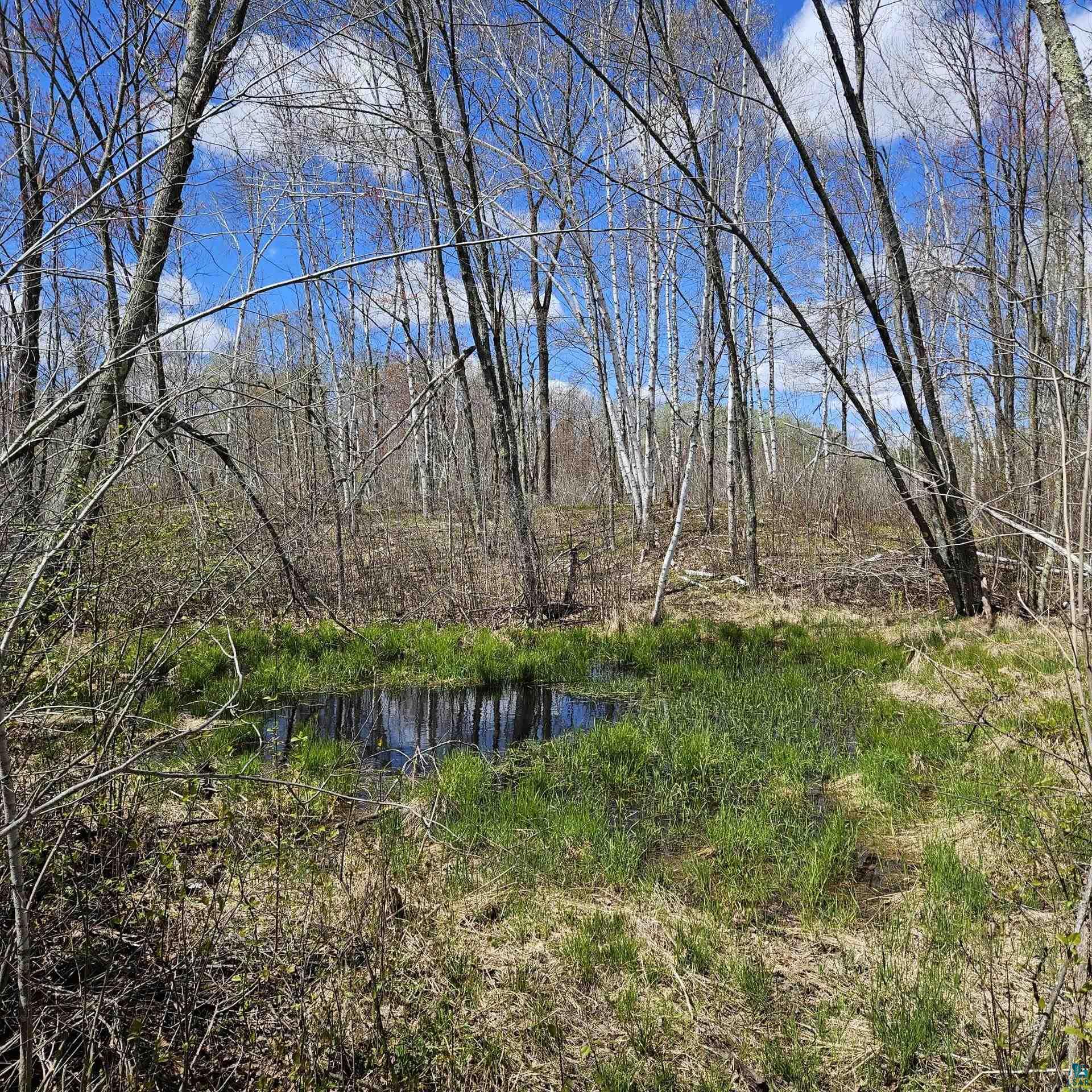 58059 Wolf Creek Road Sandstone, MN 55072 - Photo 24 of 31