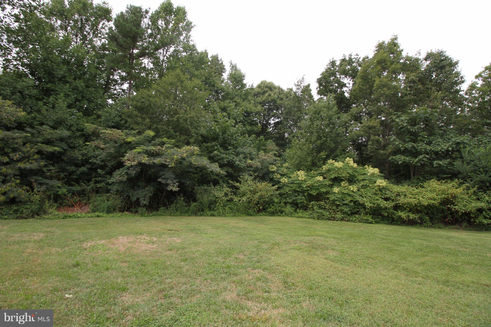 7124 Margo Road Spotsylvania, VA 22551 - Photo 30 of 30 Flat backyard