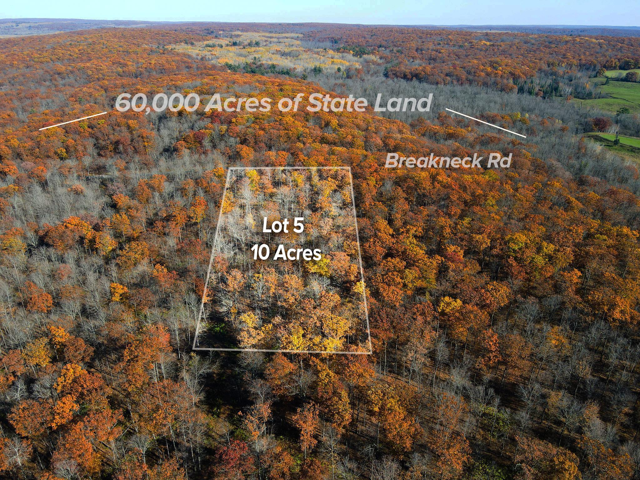 Lot 5 Breakneck Road Birchwood, WI 54817 - Photo 1 of 19