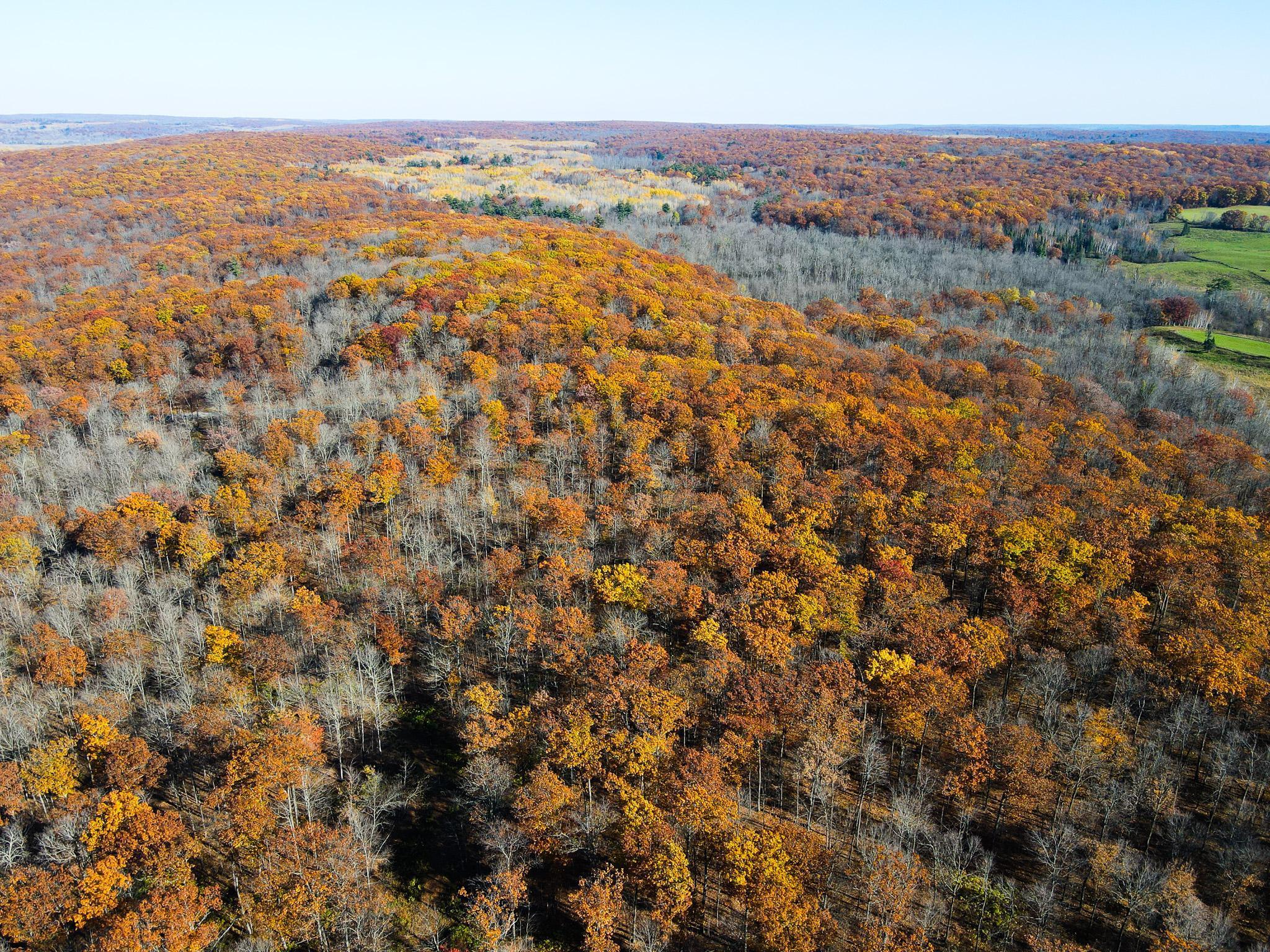 Lot 5 Breakneck Road Birchwood, WI 54817 - Photo 11 of 19