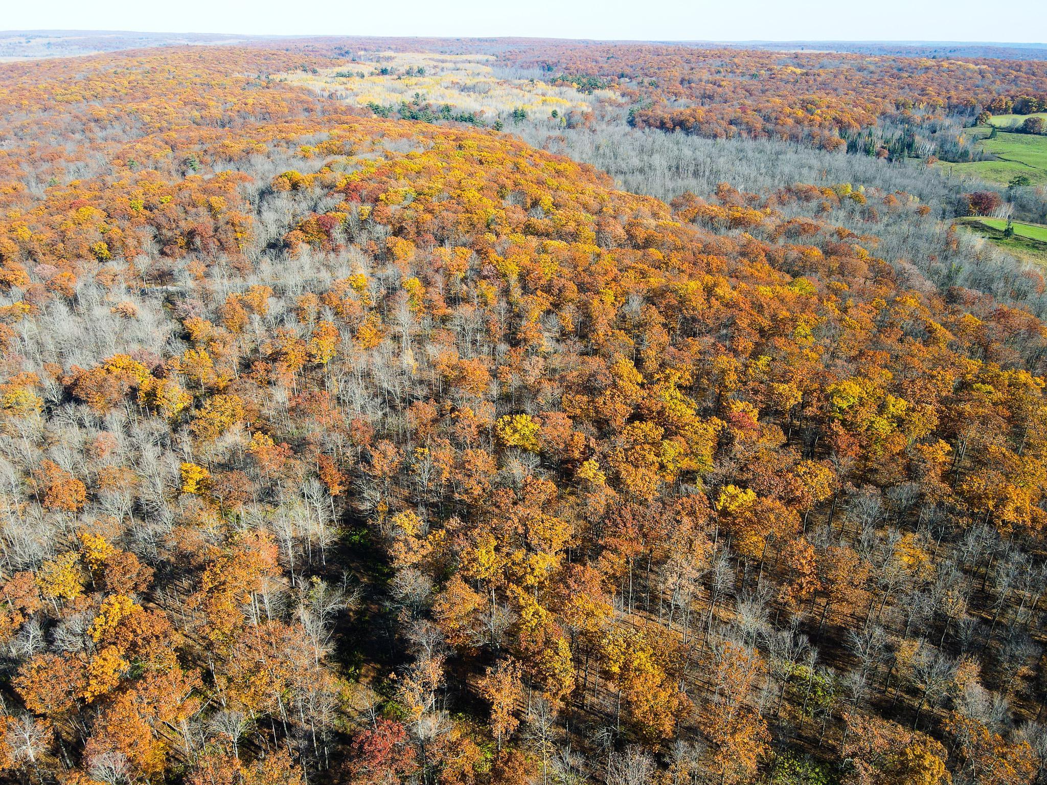 Lot 5 Breakneck Road Birchwood, WI 54817 - Photo 3 of 19