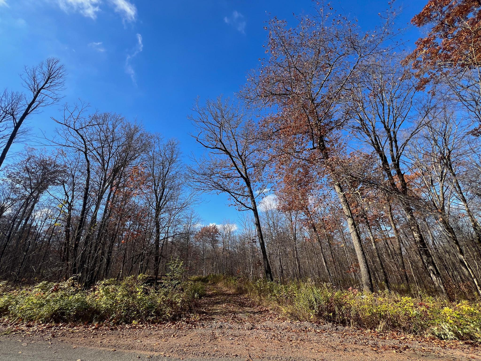 Lot 5 Breakneck Road Birchwood, WI 54817 - Photo 5 of 19