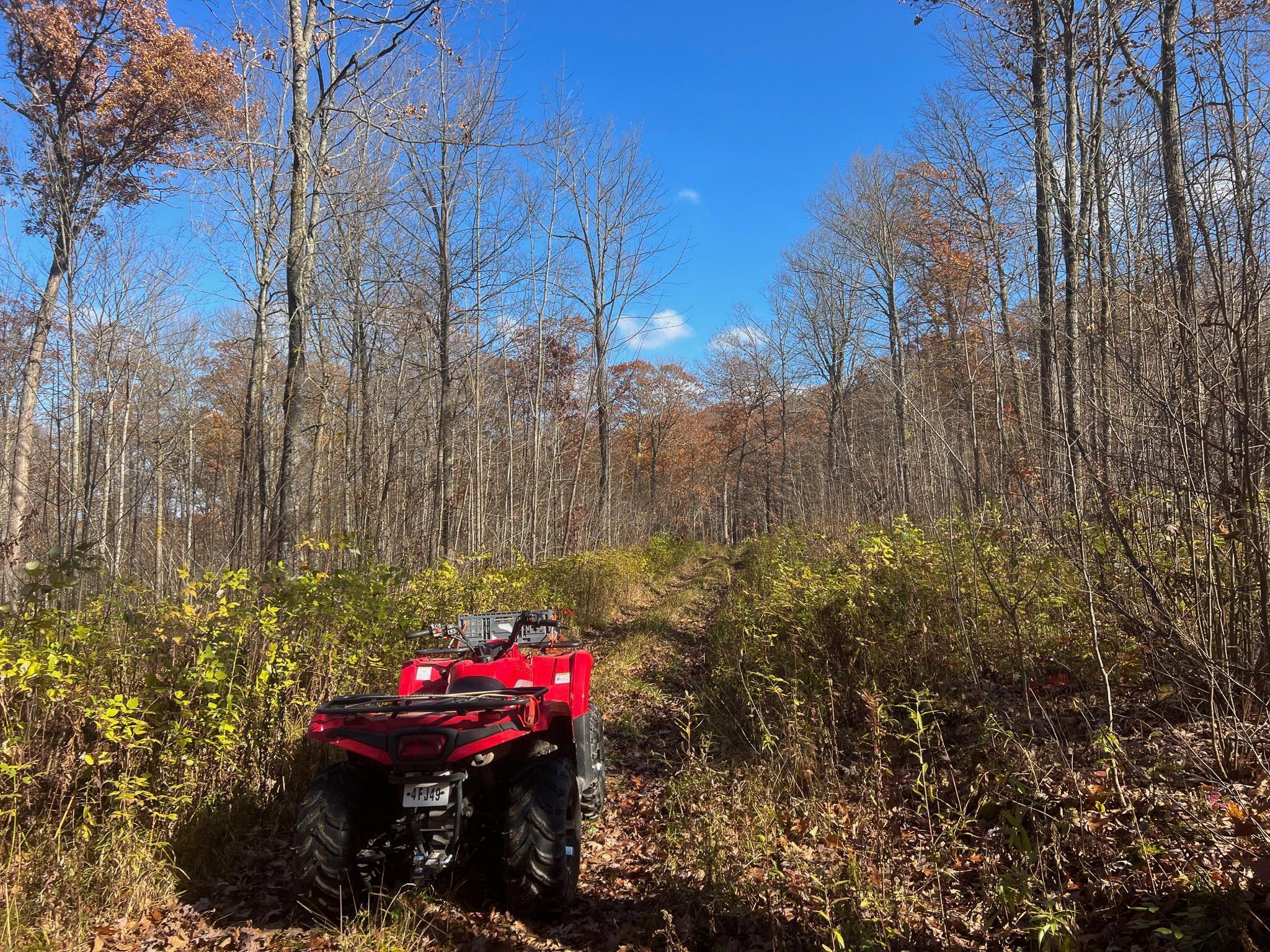 Lot 5 Breakneck Road Birchwood, WI 54817 - Photo 10 of 19