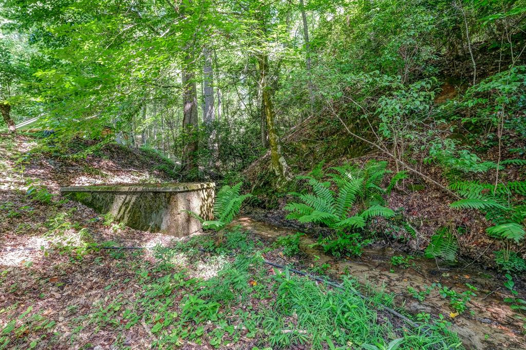 2785 Sunny Point Road Murphy, NC 28906 - Photo 33 of 43