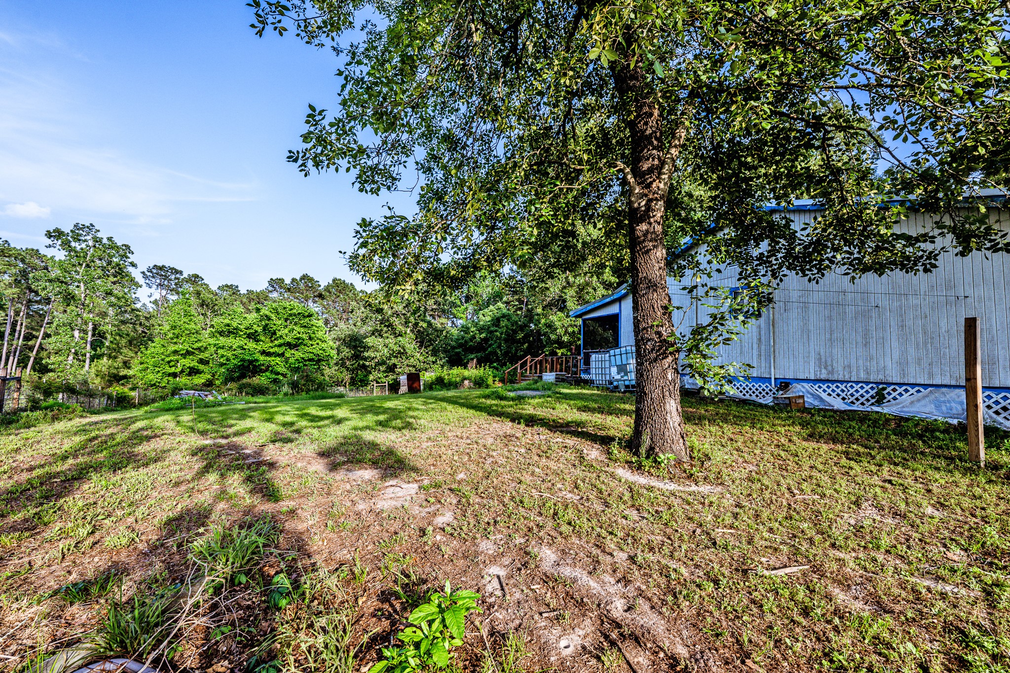 894 Winding Creek Road Trinity, TX 75862 - Photo 36 of 48