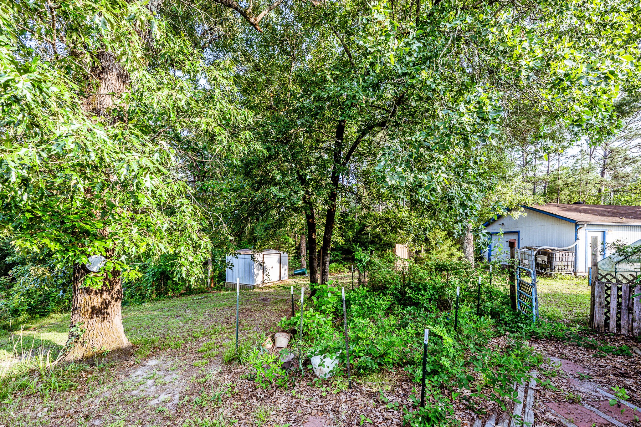 894 Winding Creek Road Trinity, TX 75862 - Photo 45 of 48