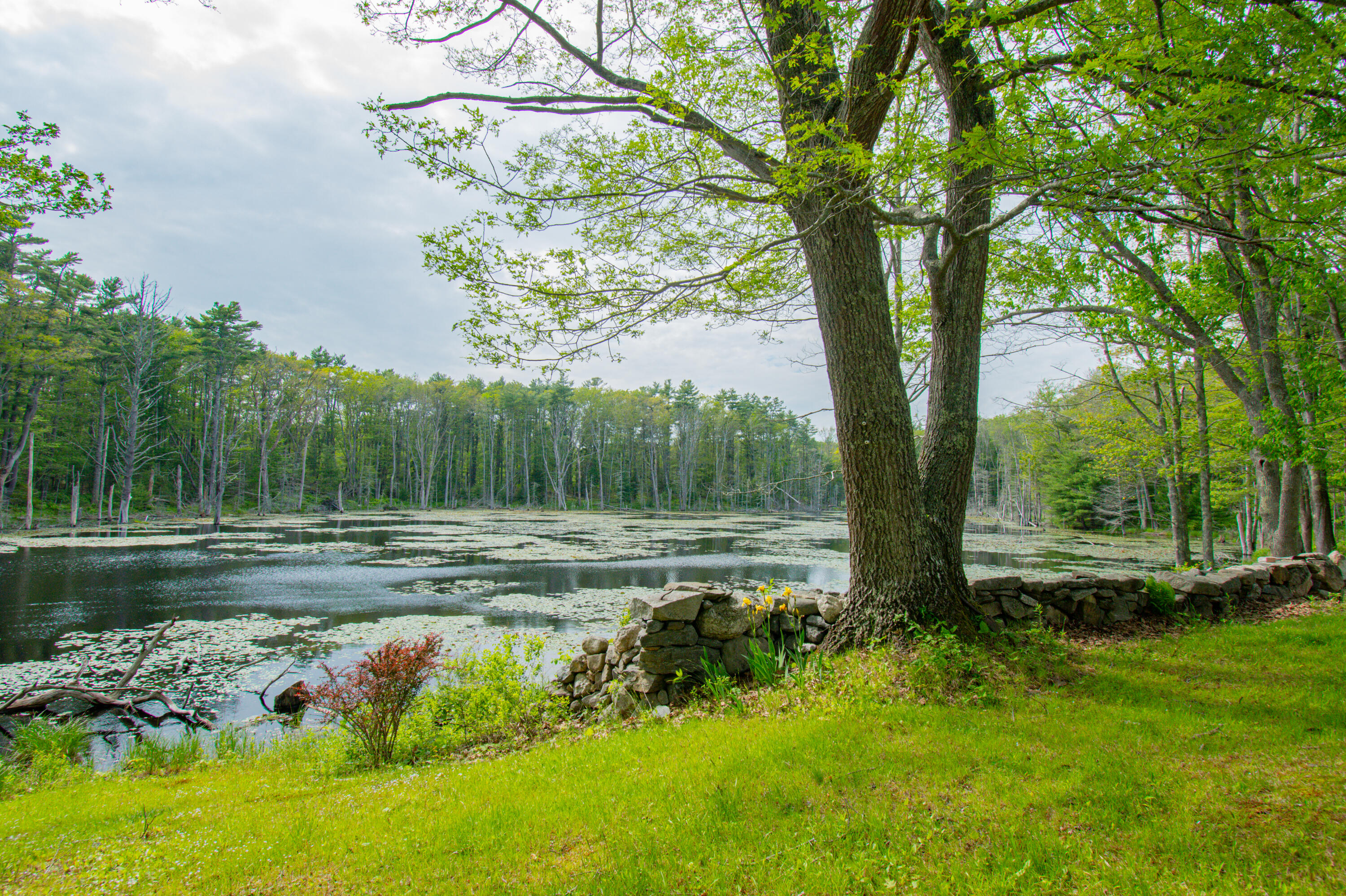 511 Main Road Phippsburg, ME 04562 - Photo 5 of 118 511MainRd.Phippsburg-113
