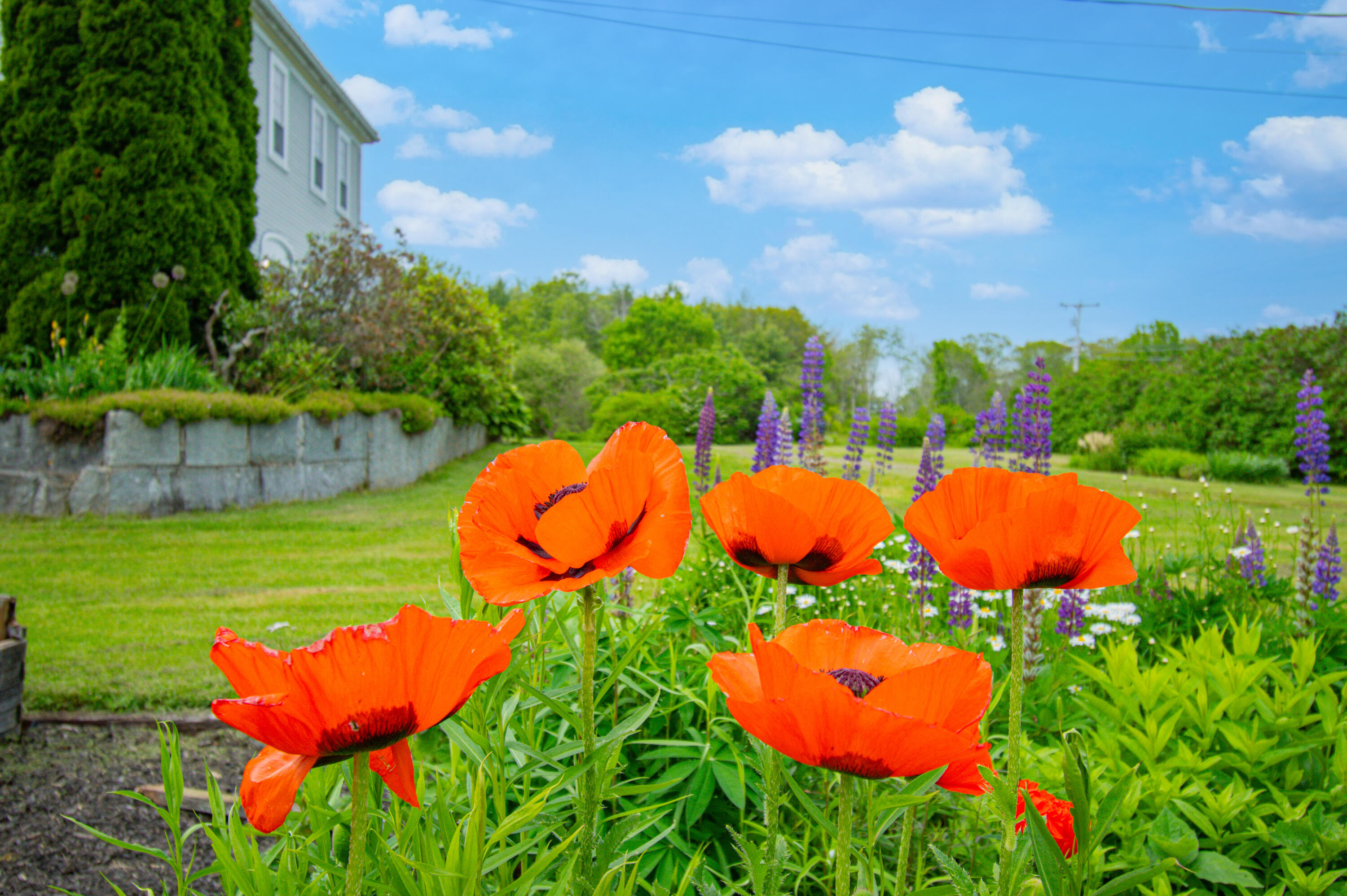 511 Main Road Phippsburg, ME 04562 - Photo 61 of 118 511MainRd.Phippsburg-110